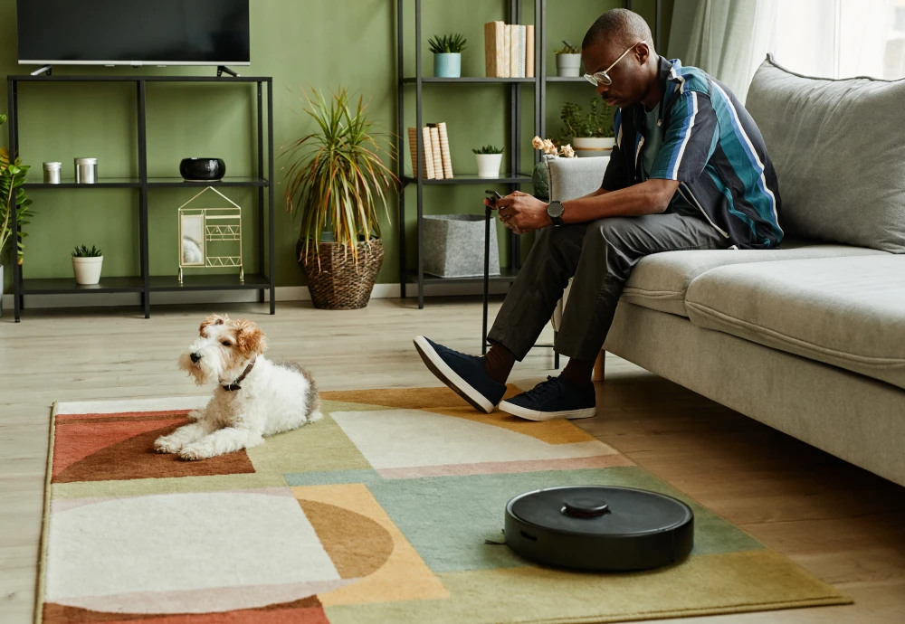 smart vacuum robot cleaner